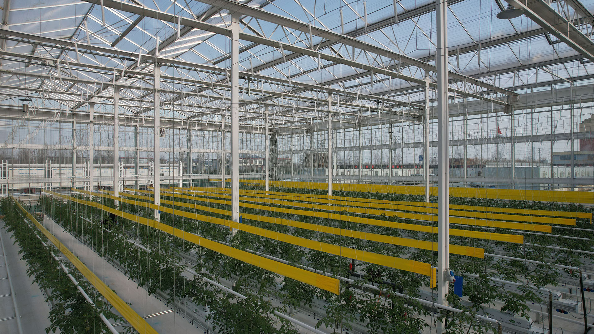 2023�?0�?Q Ғʽ 10.5fƽ .jpg